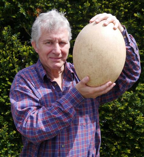 The world's biggest egg is yours for only £50,000 | Metro News