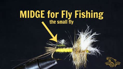 What is a Midge in Fly Fishing and How to Select the BEST - Guide ...