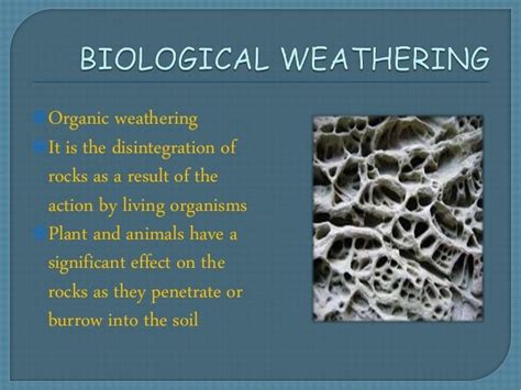 Geographic thoughts : weathering