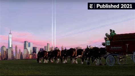 Budweiser Pays Tribute to 9/11 With Commercial of Clydesdale Horses - The New York Times