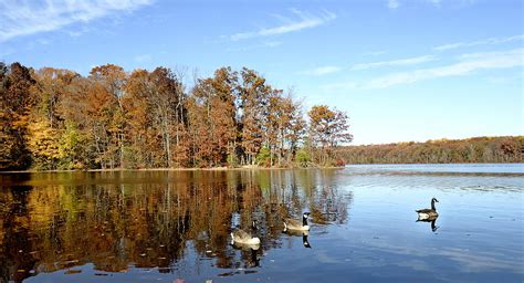 Burke Lake Park in Fairfax Virginia Photograph by Brendan Reals - Fine ...