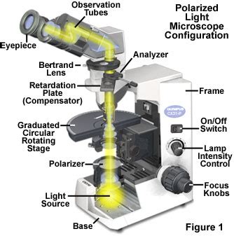 Molecular Expressions Microscopy Primer: Specialized Microscopy Techniques - Polarized Light ...