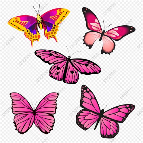 Mariposa Vector at Vectorified.com | Collection of Mariposa Vector free ...