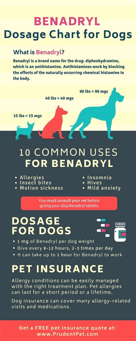 Does Benadryl Help Dogs With Car Sickness