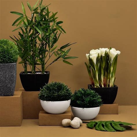 Buy Artificial Or Fake Plants Online For Your Home | LBB