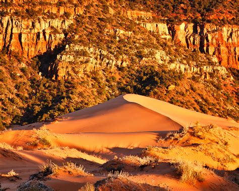 Coral Pink Sand Dunes in Utah - Anne McKinnell Photography