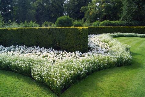 37 Best Flower Hedge Ideas: #23 is So Easy!