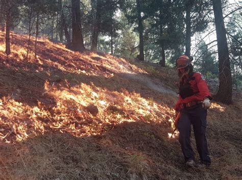 Province urges fire safety in lead up to Canada Day - BC News - Castanet.net