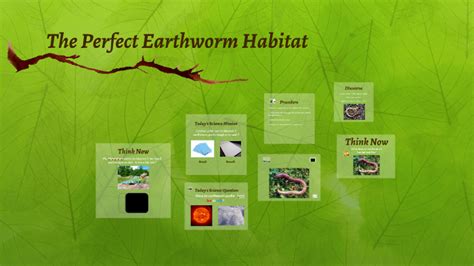 The Perfect Earthworm Habitat by Kat Alexander on Prezi