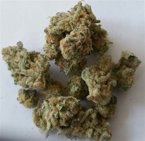 Sugar Cookie | Marijuana Strain Reviews | AllBud