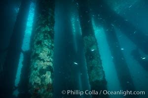 Oil Rig Eureka, Underwater Structure, Long Beach, California, #31083