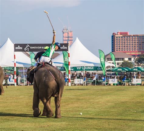 Polo Elephant Event in Bangkok Riverside, Thailand Editorial Stock Photo - Image of grass ...