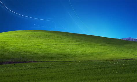 Windows XP Bliss , Windows XP Grass HD wallpaper | Pxfuel