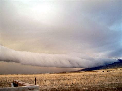 Lovelock Roll Cloud - Earth Science Picture of the Day | Clouds, Roll cloud, Nature photography