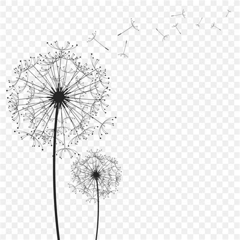 Clip Art Image Vector Graphics Dandelion, PNG, 1000x1000px, Dandelion, Black And White, Branch ...