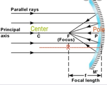 The length of a concave mirror is 10 cm. What will the radius of ...