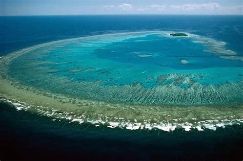 A Bite-Sized History of the Great Barrier Reef - Schmidt Ocean Institute