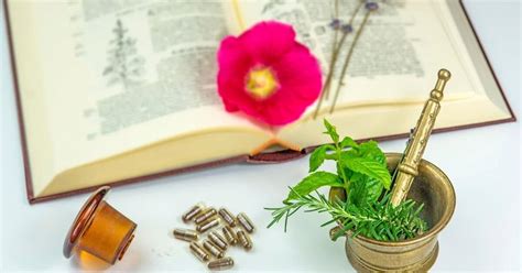 17+ Herbal Medicine Books For Self-Care - A Radiantly Healthy Life