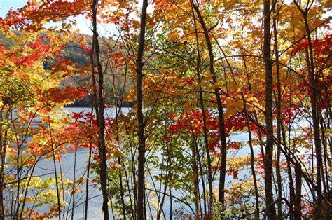 Fall Colors Cabot Trail Cape Breton Nova Scotia 2010 | Cape breton nova ...