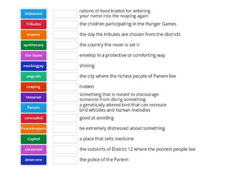 The Hunger Games Vocabulary - Match up