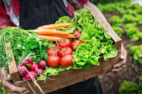 Purchasing Seasonal Produce - Brock & Company, Inc.