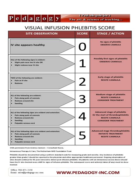 Phlebitis Scale Aj | Intravenous Therapy | Medicine