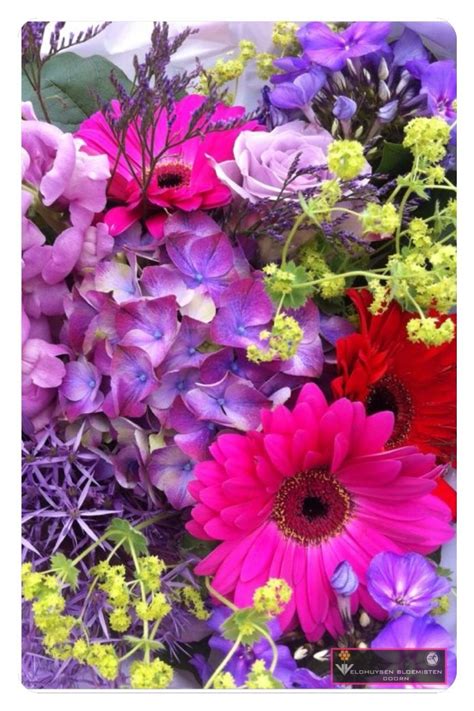 Zomer boeket met hortensia Summer Bouquet, Stunning Summer, Bouquet Flowers, Hydrangea, Summer ...