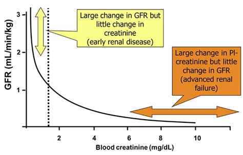 şaşırtmak ayrıca Arabayla uzaklaşmak serum creatinine renal function Ilıman Peru Reddet