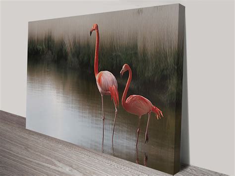 Flamingos Canvas Wall Art Print Blue Horizon Prints Australia