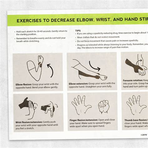 Exercises to Decrease Elbow, Wrist, and Hand Stiffness – Adult and pediatric printable resources ...