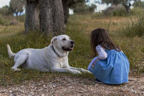 Safe Play Between Children and Dogs | Gulf Coast K9 Dog Training