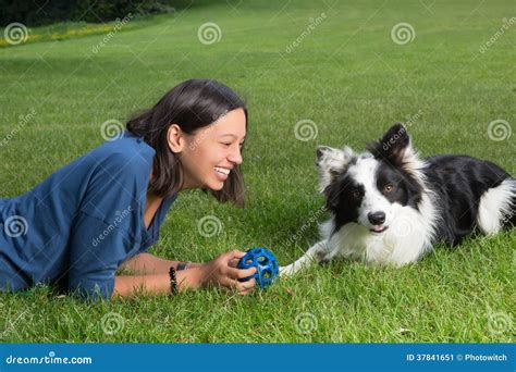 Playing with a Border Collie Stock Image - Image of green, field: 37841651