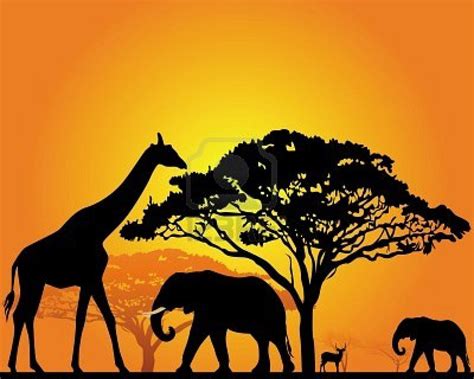 black silhouettes of African animals in the savannah on an orange background Stock Photo ...