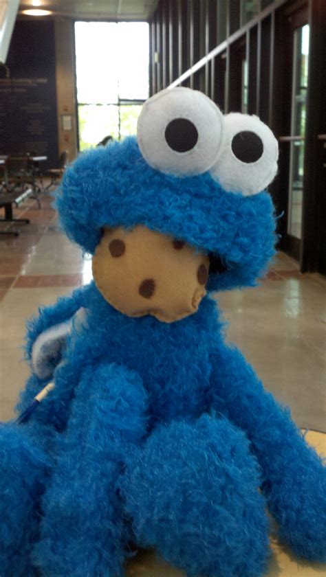 Interactive Cookie Monster Plush Toy : 14 Steps (with Pictures ...