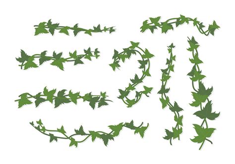 Ivy Vine Free Svg