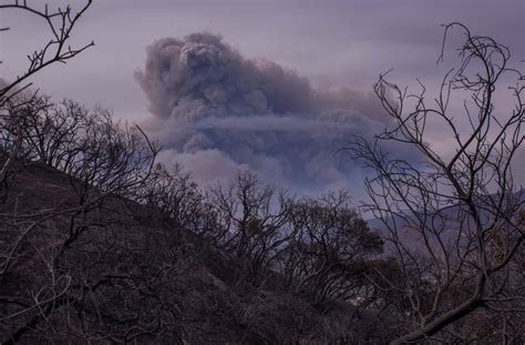 California's Wildfires Are Spawning 'Fire' Clouds