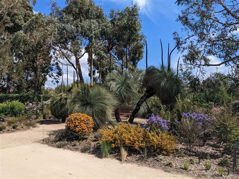 An Inside Look at the Global Botanic Gardens Congress » Holden Forests & Gardens