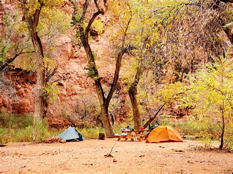 Havasu Canyon Campground | This is our campsite at Havasupai… | Flickr