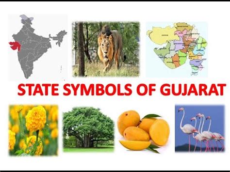 STATE SYMBOLS OF GUJARAT || GUJARAT STATE SYMBOLS - YouTube