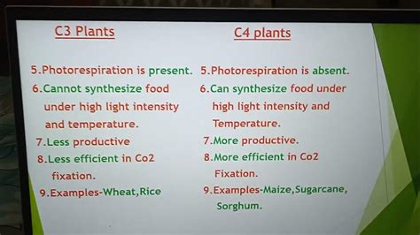 Differences between C3 and C4 Plants - YouTube