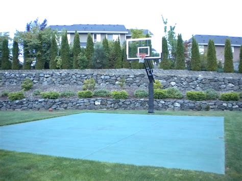 Basketball hoops thrive in backyards like this one in WA.