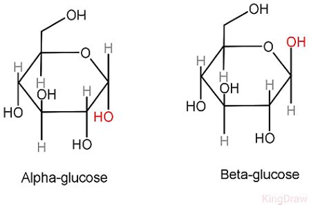 Alpha And Beta Glucose Ring Structure