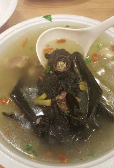 Coronavirus blamed on bat soup as pics emerge of people eating the Chinese delicacy (Video ...