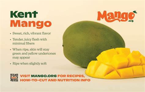 Kent Mangos - Mango Variety | National Mango Board