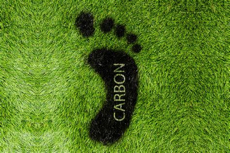 How can we reduce the carbon footprint?