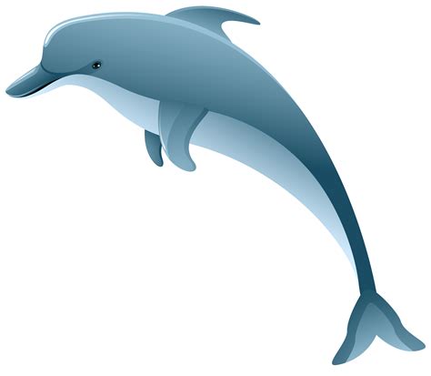 Dolphin PNG Clip Art Image | Gallery Yopriceville - High-Quality Images and Transparent PNG Free ...