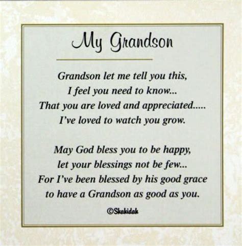 Heartwarming Quotes for Grandsons