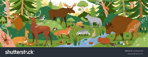 Forest Animals Wild Nature Environment Landscape Stock Vector (Royalty Free) 2116663358 ...