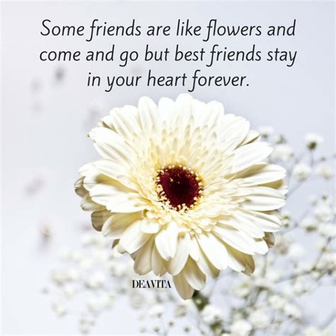 30 Beautiful cards and flower quotes to make someone happy