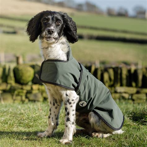 Dog & Field 2 in 1 Waterproof Drying Coat | Gundog Coats